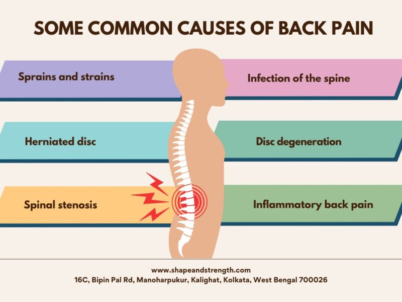 Causes of Back Pain in Females: Common Reasons Every Indian Woman Should Know