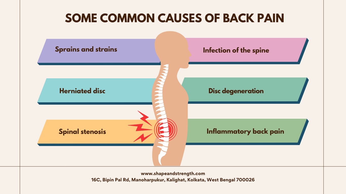 causes of back pain in females